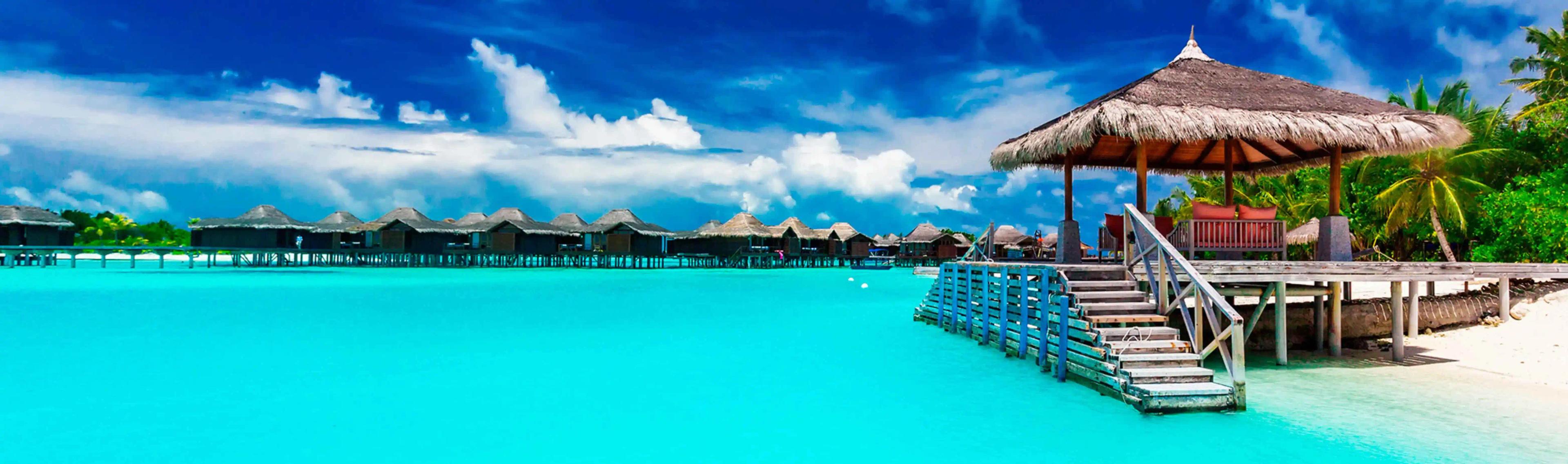  image background
